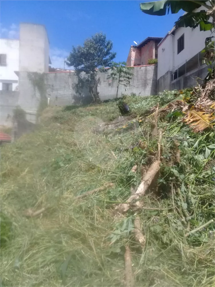 Terreno à venda, 250m² - Foto 4