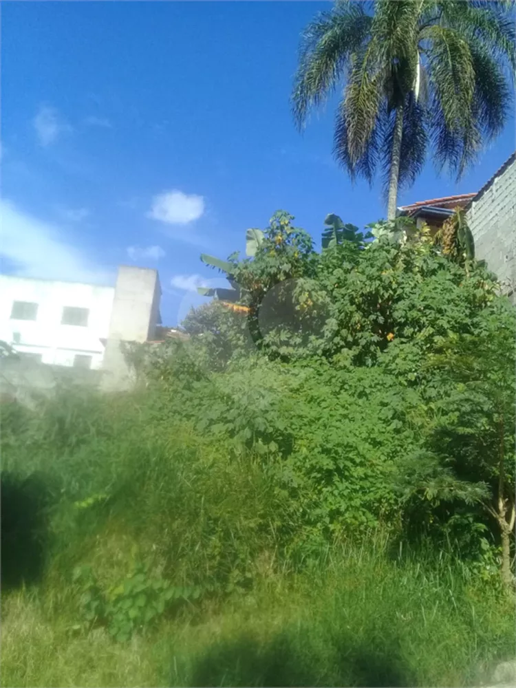 Terreno à venda, 250m² - Foto 1