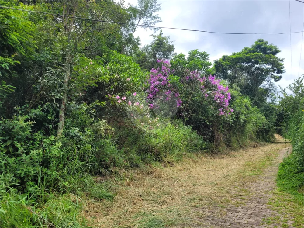 Terreno à venda, 6380m² - Foto 4