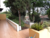 Casa, 4 quartos, 360 m² - Foto 2