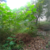 Terreno, 1211 m² - Foto 2