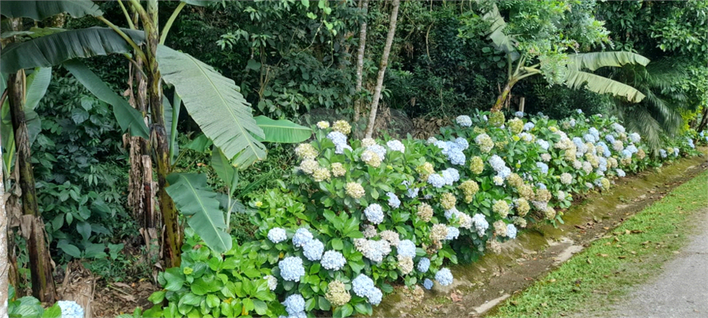 Terreno, 923 m² - Foto 4