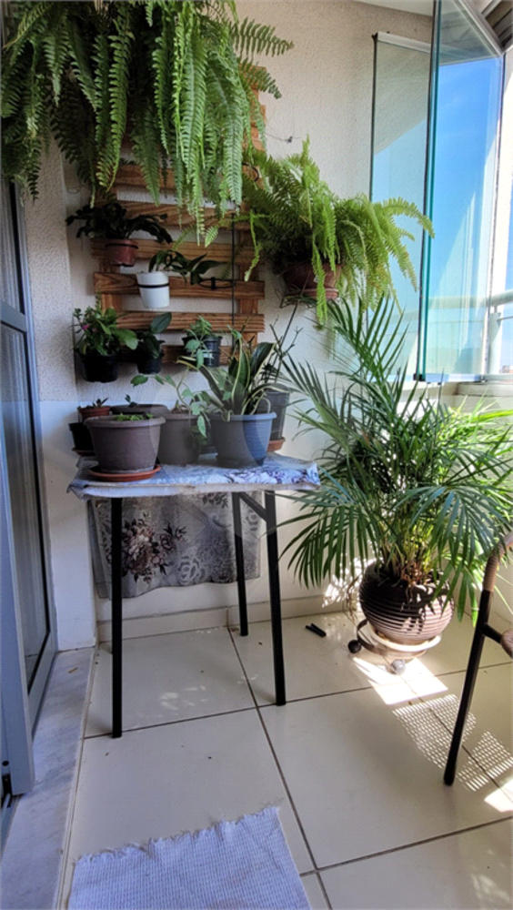 Apartamento, 3 quartos, 67 m² - Foto 4