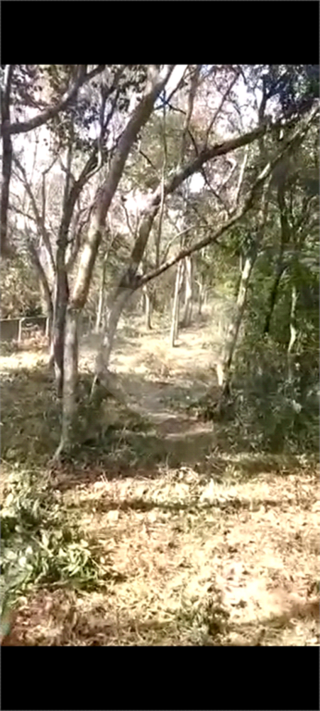 Terreno, 1148 m² - Foto 1