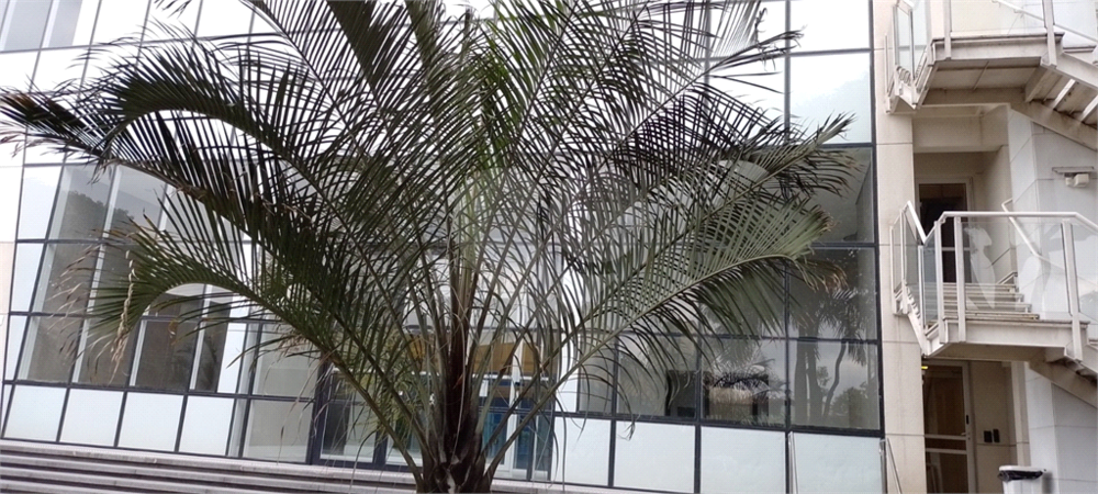 Apartamento, 2 quartos, 64 m² - Foto 1