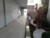 Apartamento, 1 quarto, 29 m² - Foto 2