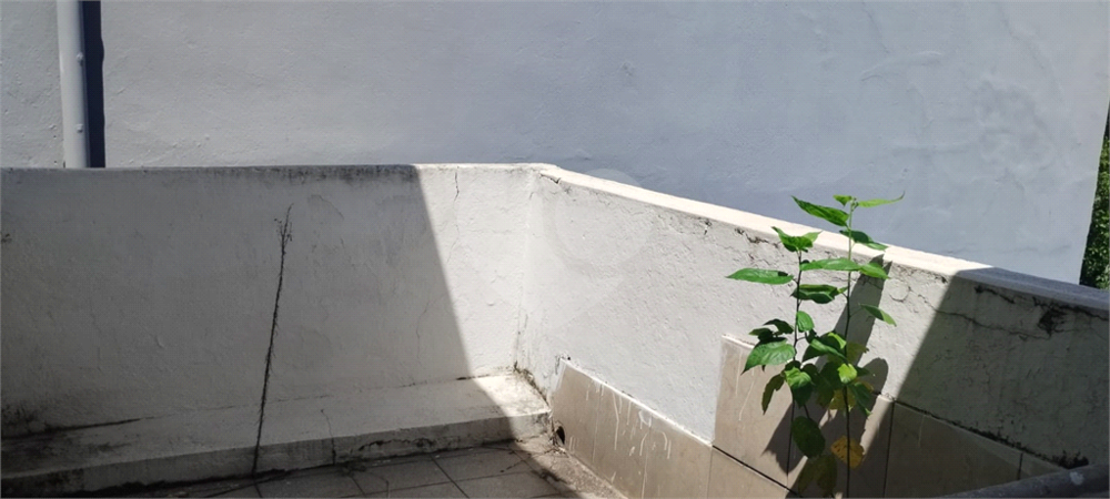 Terreno, 239 m² - Foto 4