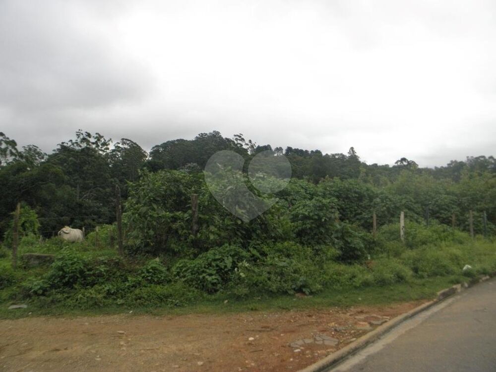 Terreno à venda, 33000m² - Foto 8
