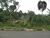 Terreno, 3 hectares - Foto 5