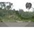 Terreno, 3 hectares - Foto 14