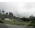 Terreno, 3 hectares - Foto 13
