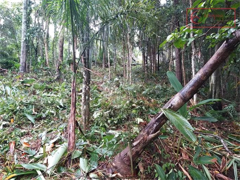 Terreno, 1775 m² - Foto 3