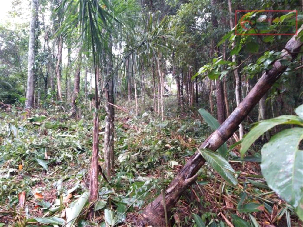 Terreno, 1775 m² - Foto 2