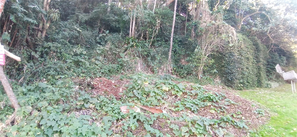 Casa de Condomínio à venda, 1126m² - Foto 11