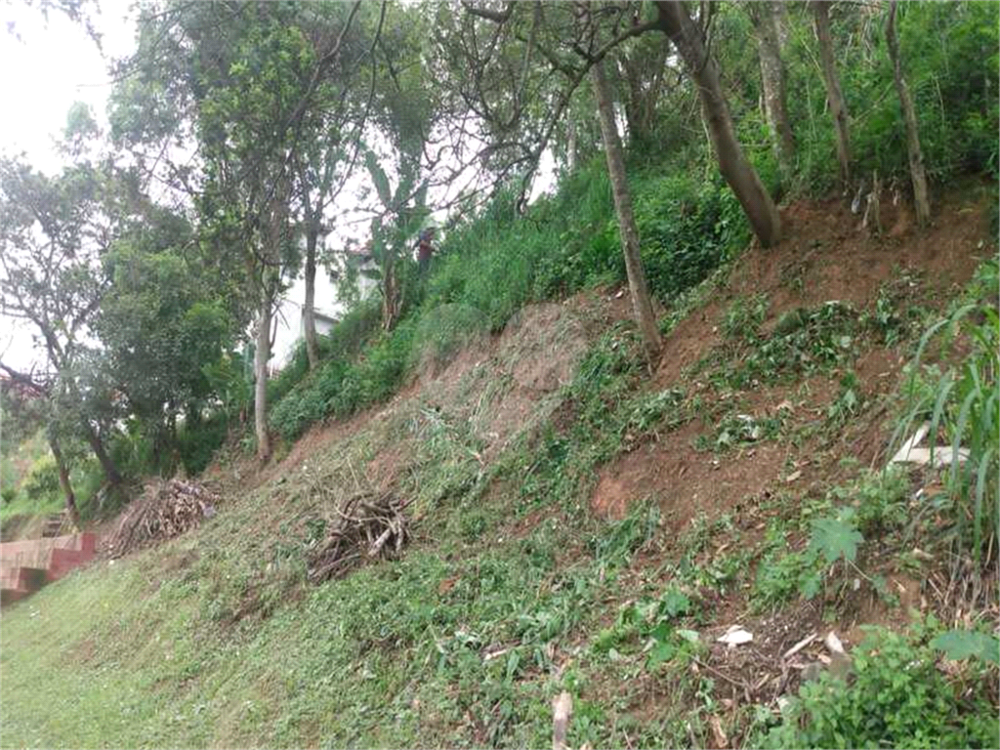 Terreno, 250 m² - Foto 2