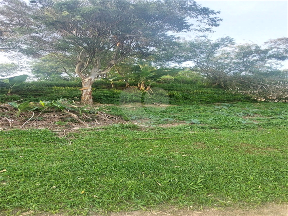 Terreno, 250 m² - Foto 1