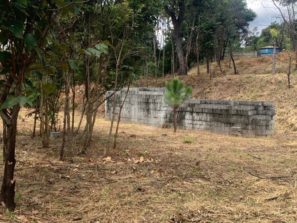 Terreno, 4376 m² - Foto 11