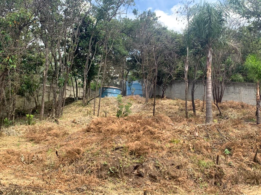 Terreno, 4376 m² - Foto 17