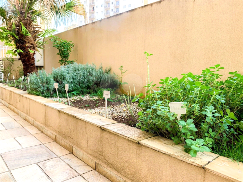 Apartamento à venda com 2 quartos, 62m² - Foto 4