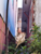 Terreno, 150 m² - Foto 2