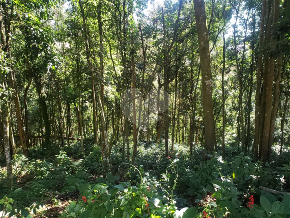 Terreno, 1010 m² - Foto 17