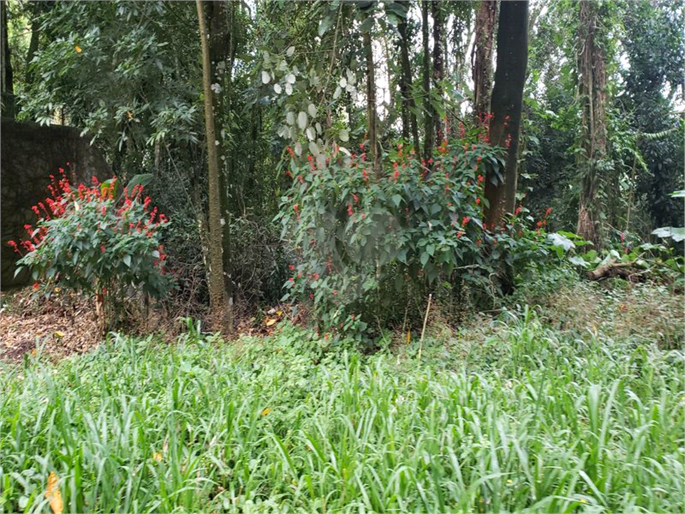 Terreno, 1010 m² - Foto 9