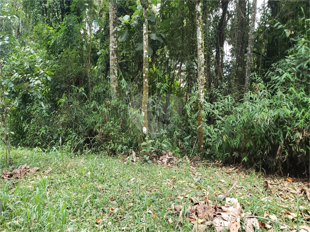 Terreno, 1010 m² - Foto 12