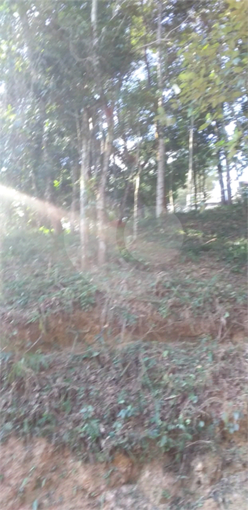 Casa de Condomínio - Foto 2