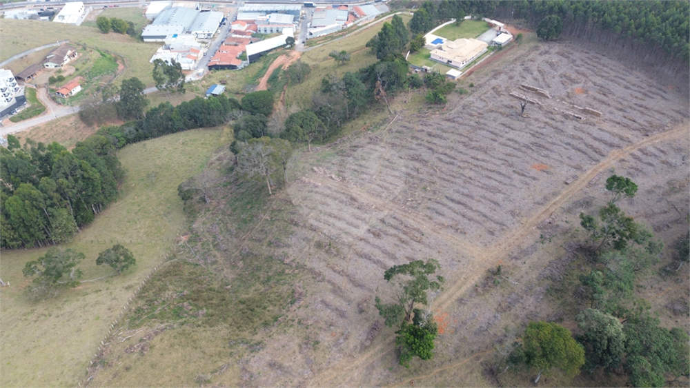 Casa, 4 quartos, 730 m² - Foto 1