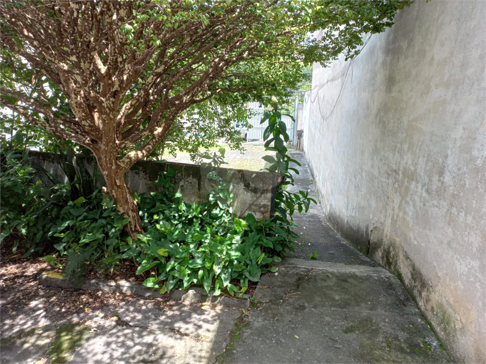 Terreno, 525 m² - Foto 3