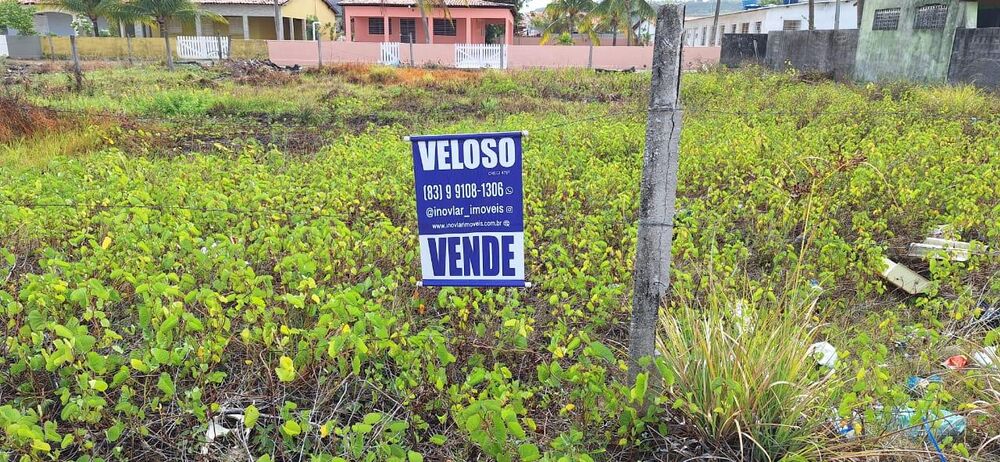 Terreno - Foto 3