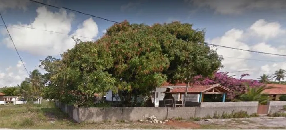 Terreno - Foto 1