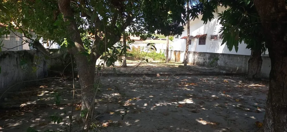 Terreno - Foto 4