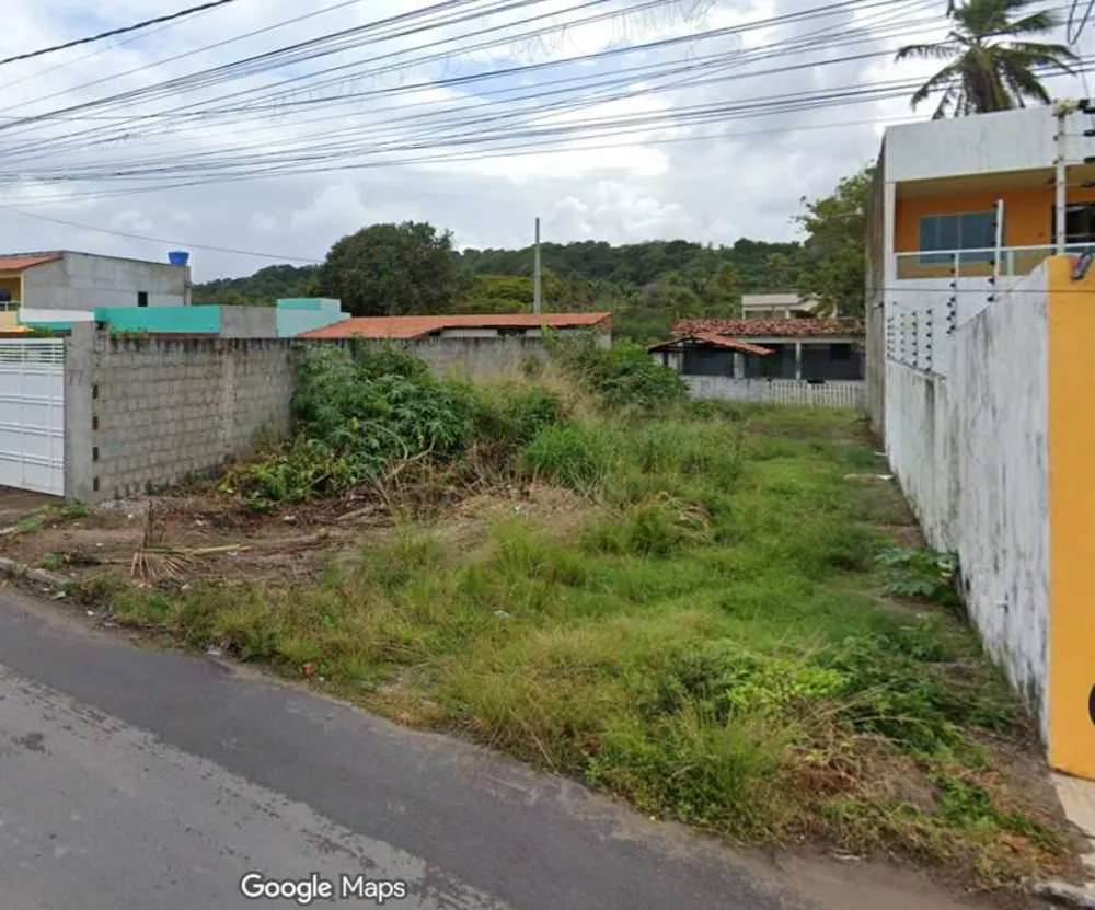 Terreno - Foto 2
