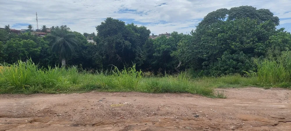 Terreno - Foto 4