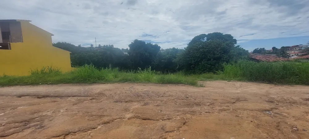 Terreno - Foto 6