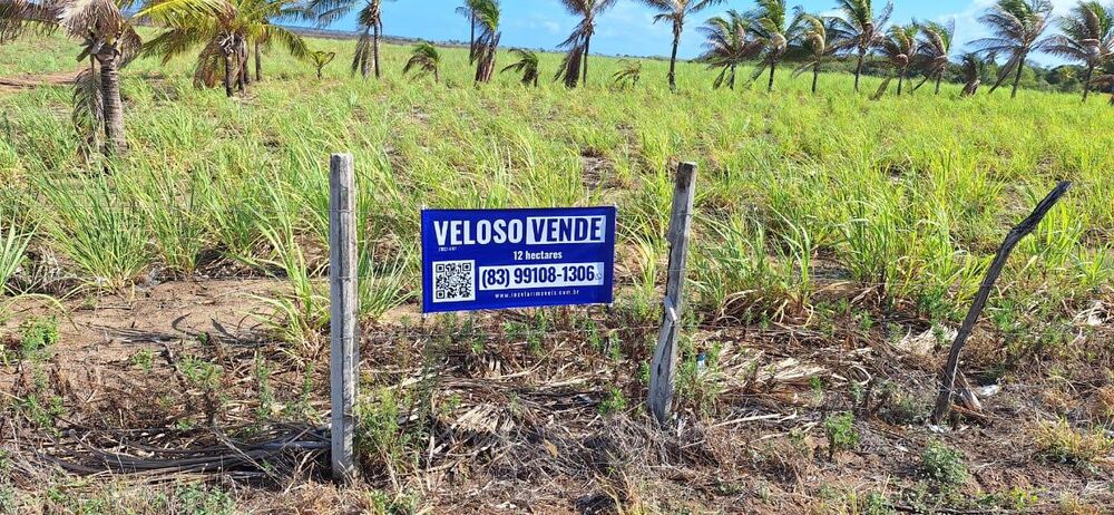 Terreno, 12 hectares - Foto 1