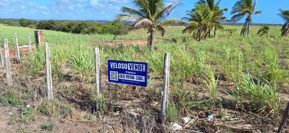 Terreno, 12 hectares - Foto 10
