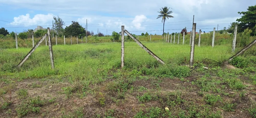 Terreno, 450 m² - Foto 5