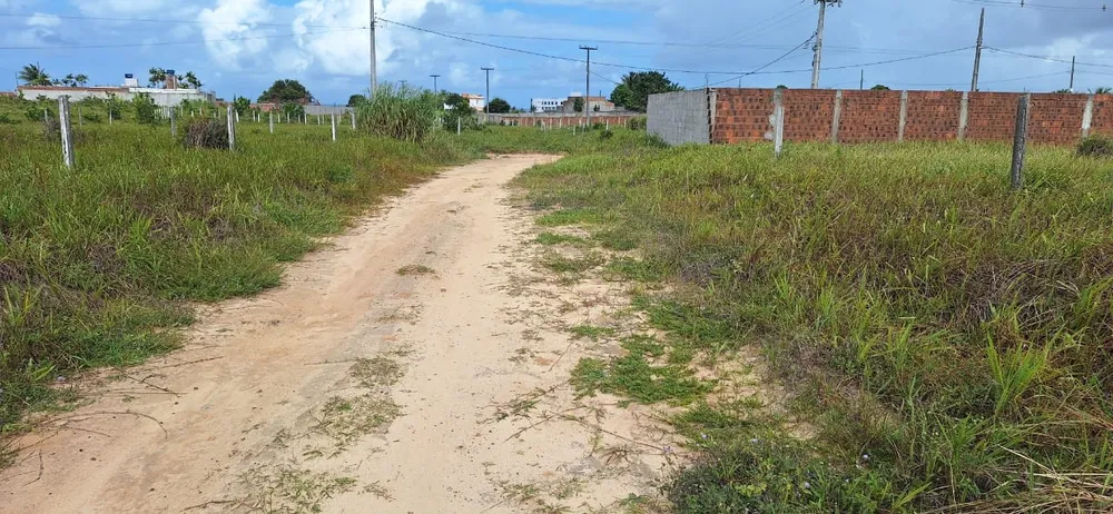 Terreno - Foto 5