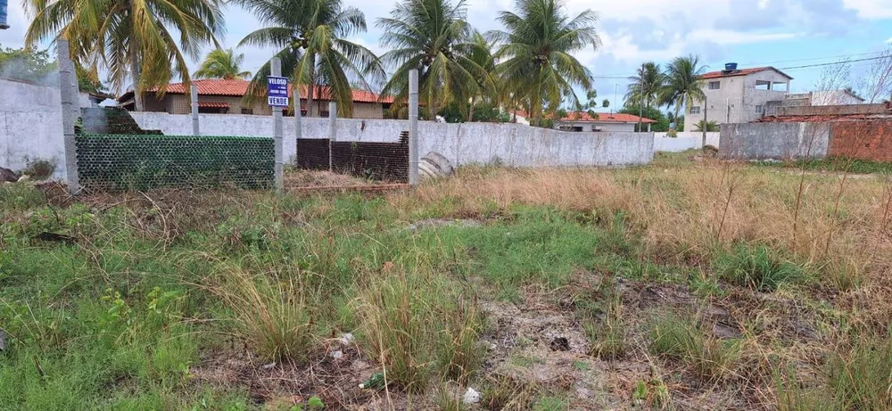 Terreno - Foto 6