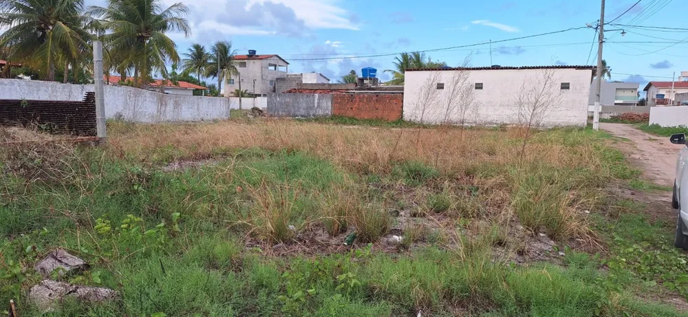 Terreno - Foto 5