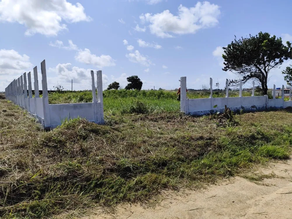 Terreno - Foto 11