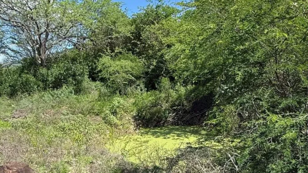 Loteamento e Condomínio, 70 hectares - Foto 6