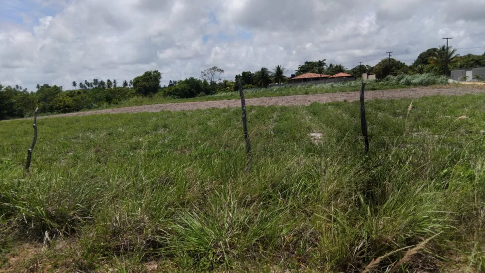 Terreno, 2121 m² - Foto 8