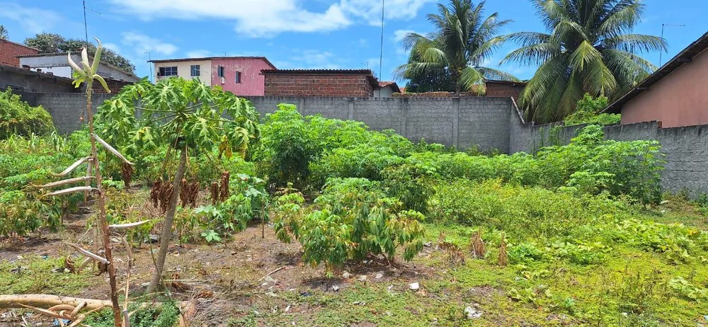 Terreno à venda, 750m² - Foto 4