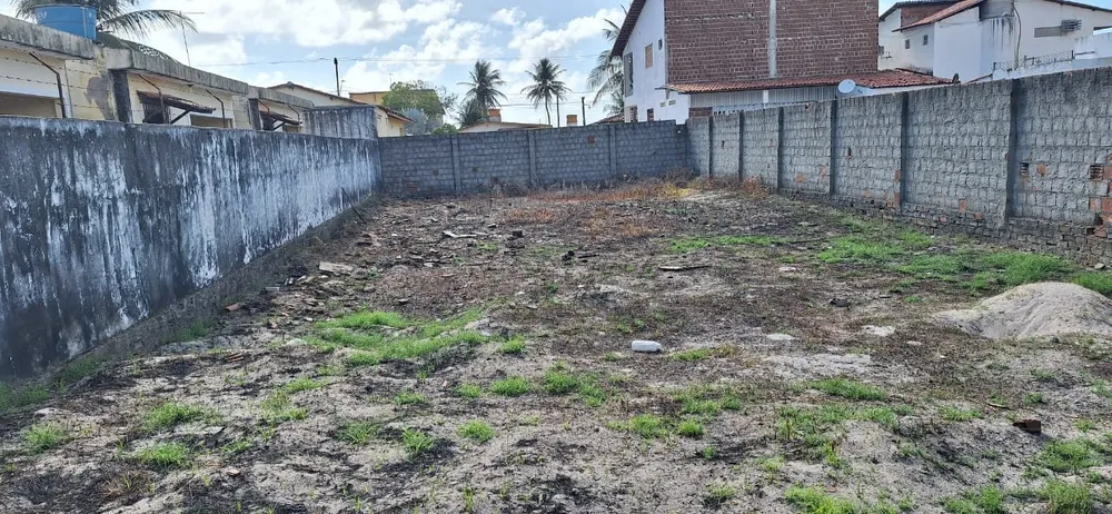 Terreno - Foto 3