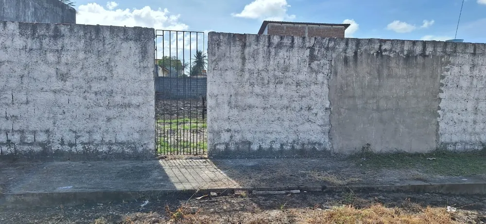 Terreno - Foto 4
