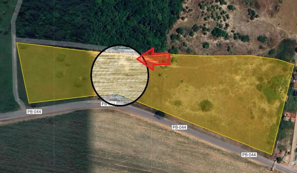 Terreno, 4 hectares - Foto 2