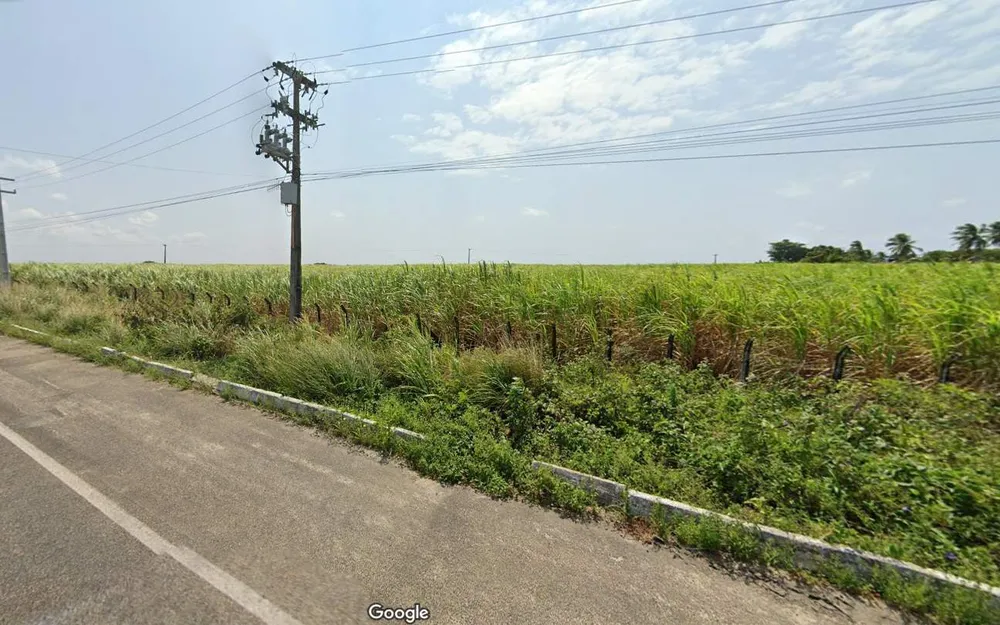 Terreno, 4 hectares - Foto 9